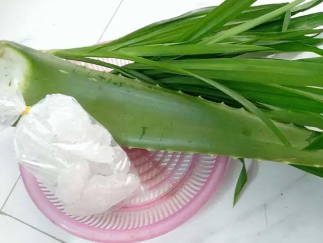 Nguyên liệu làm thạch nha đam