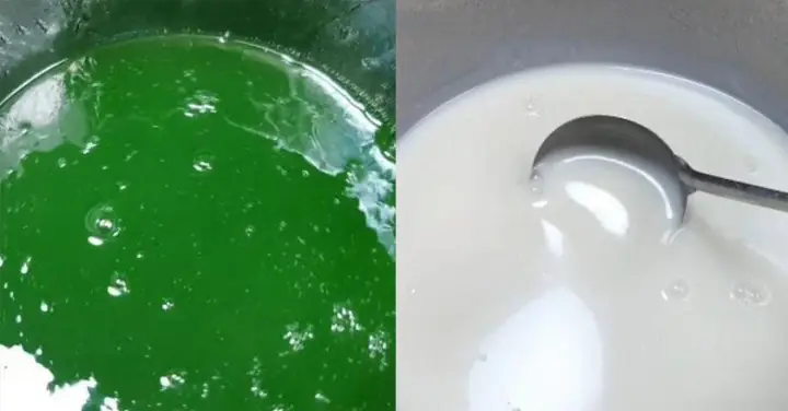 Hướng dẫn cách nấu chè đông sương lá dứa