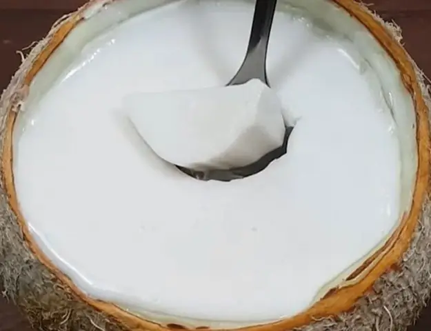 Chi tiết cách nấu chè đông sương cốt dừa