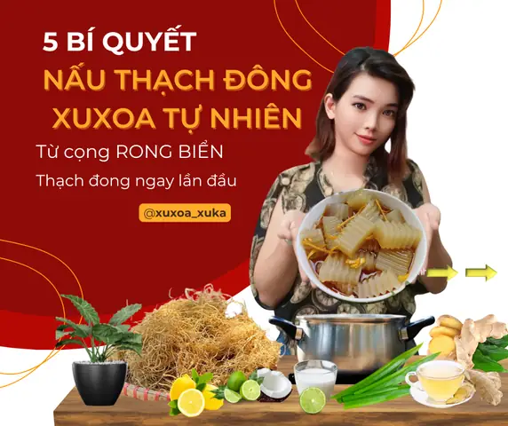 ĐỂ NẤU THẠCH ĐÔNG TỪ RONG BIỂN THÀNH CÔNG CHÚNG TA PHẢI NẮM KĨ 5 BÍ QUYẾT NẤU THẠCH ĐÔNG TỪ RONG BIỂN HOÀN TOÀN TỰ NHIÊN DƯỚI ĐÂY: