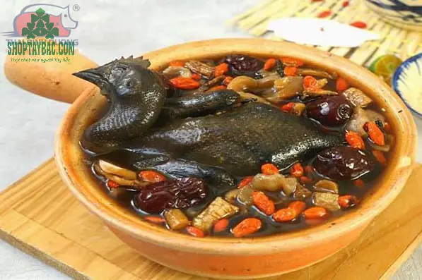 Công dụng tuyệt vời của món gà đen hầm thuốc bắc