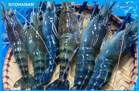 TOP 5 MÓN TÔM CÀNG XANH CHẾ BIẾN TẠI NHÀ SIÊU DỄ KHÔNG THỂ BỎ QUA TOP 5 MÓN TÔM CÀNG XANH CHẾ BIẾN TẠI NHÀ SIÊU DỄ KHÔNG THỂ BỎ QUA