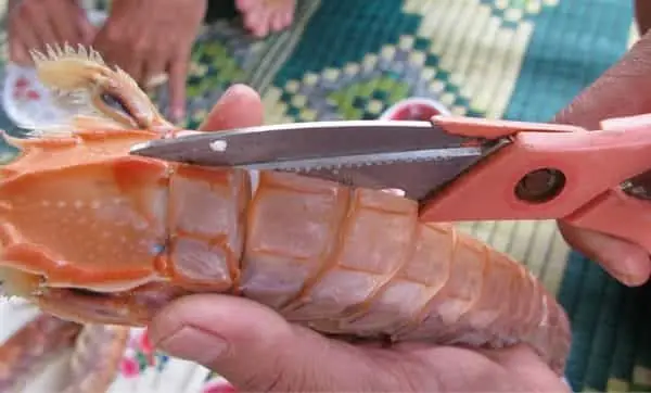 Vậy chế biến tôm tích như thế nào là đúng? Vậy chế biến tôm tích như thế nào là đúng?