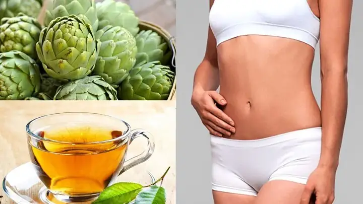 Bông Atiso Tươi Bông Atiso Tươi