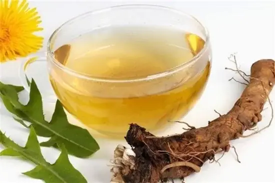 cách làm trà bồ công anh