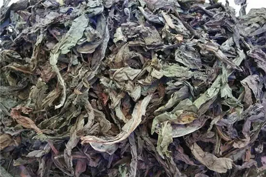 Giai đoạn 1: Thu hái, sơ chế thành trà Giai đoạn 1: Thu hái, sơ chế thành trà