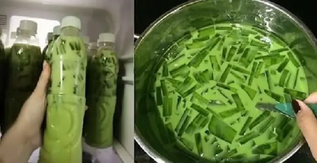 Cách chế biến Cách chế biến