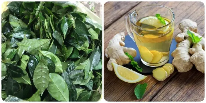 Lá chè xanh và gừng là thực phẩm tốt cho sức khoẻ, vậy uống chè xanh với gừng có tốt cho sức khoẻ?