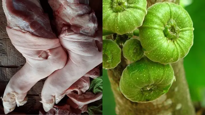 Cách chọn nguyên liệu tươi ngon