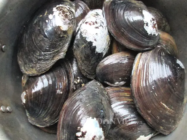 Nhớ canh trai nấu chuối của mẹ