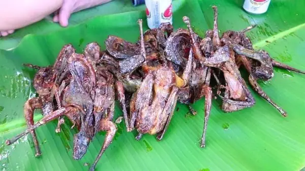 Thịt cò nướng Thịt cò nướng