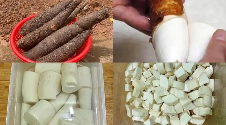 Hướng dẫn cách thực hiện Hướng dẫn cách thực hiện