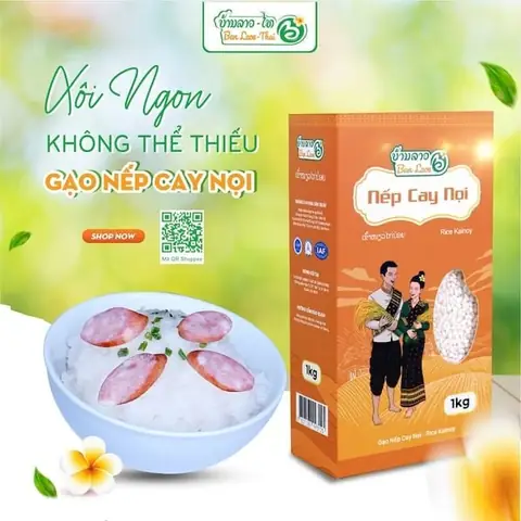 Cách Nấu Xôi Nếp Lào Hạt Dài Đúng Cách