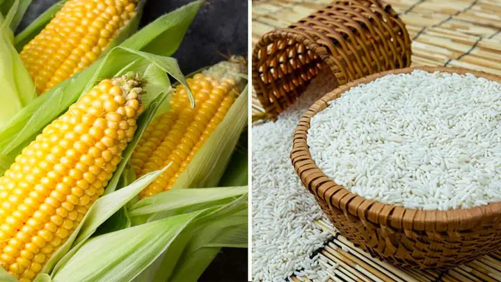 4Lưu ý khi nấu xôi xéo ngô