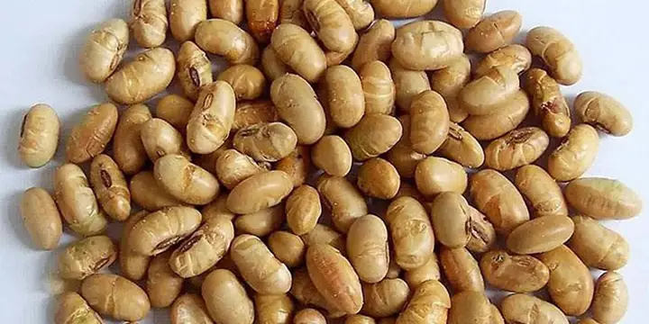 1Cách làm nước bột đậu nành rang