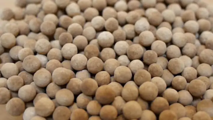 1tại Sao Phải Bảo Quản Trân Châu