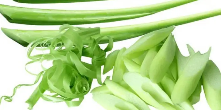 Cách sơ chế bạc hà Cách sơ chế bạc hà