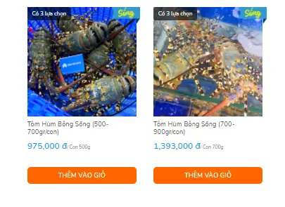 Mua Tôm Hùm Canada Nhập Khẩu Tại Tphcm Mua Tôm Hùm Canada Nhập Khẩu Tại Tphcm