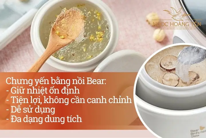 Có Nên Chưng Yến Bằng Nồi Nấu Chậm Bear?