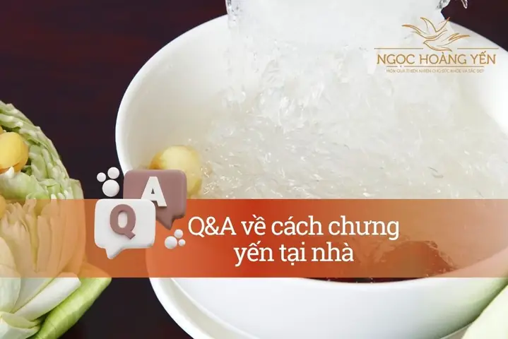 Q&a Về Cách Chưng Yến Bằng Nồi Nấu Chậm Bear