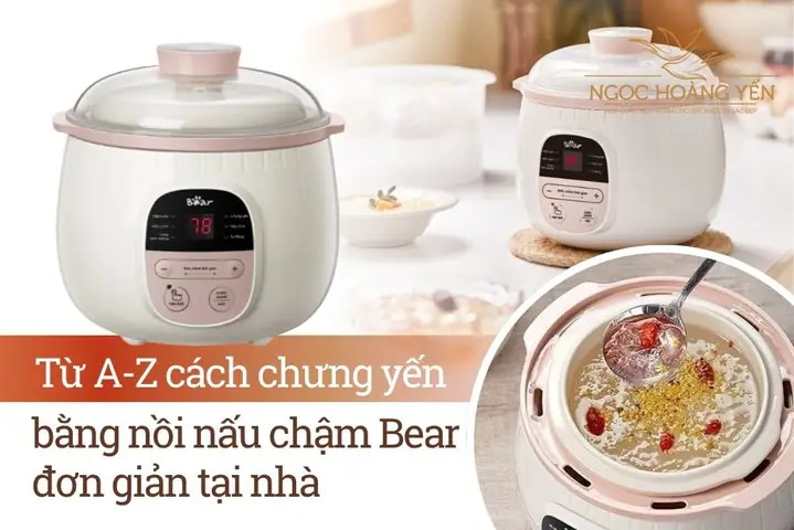 Từ A-z Cách Chưng Yến Bằng Nồi Nấu Chậm Bear Đơn Giản Tại Nhà