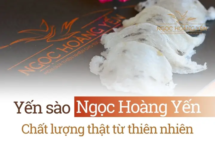 Vệ Sinh Nồi Nấu Chậm Bear Như Thế Nào Sau Khi Chưng?