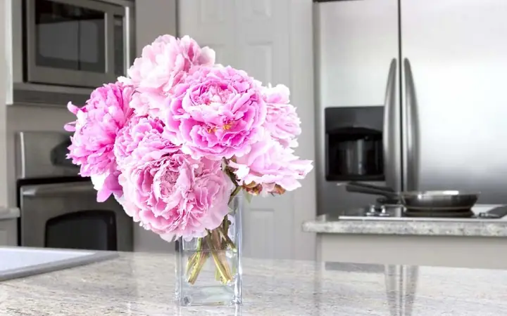 Dùng hoa tươi để khử mùi