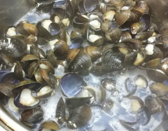 Các Bước Làm Canh Hến Nấu Chua: