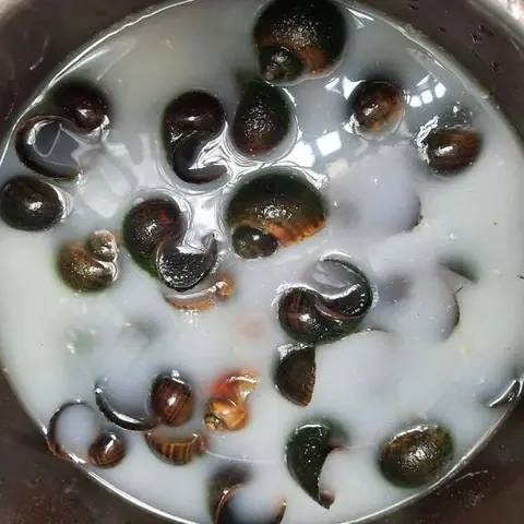 Bước 1: Sơ Chế Ốc