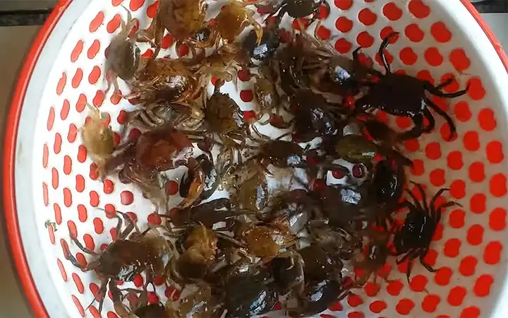 1. Cách Sơ Chế Cua Đồng