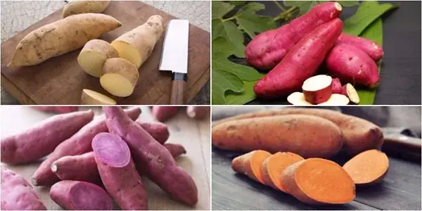 Nguyên liệu cần chuẩn bị Nguyên liệu cần chuẩn bị