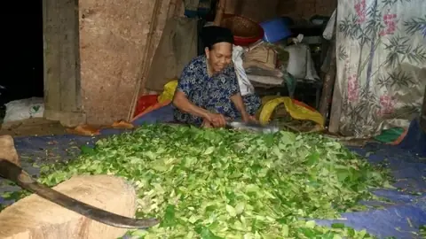 Cách Làm Men Nấu Rượu