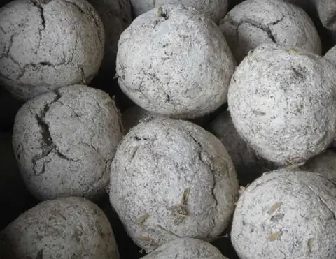 Cách Làm Men Nấu Rượu