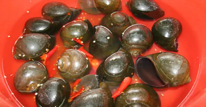 Đăng Ký Mở Nhà Hàng Online + Đăng Bài Trên Pasgo Đăng Ký Mở Nhà Hàng Online + Đăng Bài Trên Pasgo