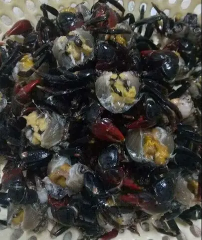 Nguyên Liệu: Chuẩn Bị Cho 4 Người