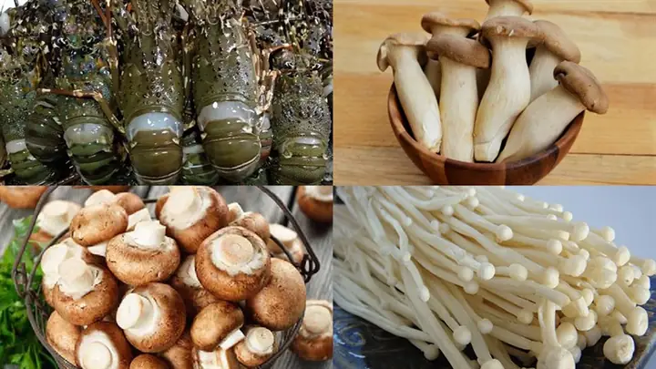 Cách Chọn Mua Nguyên Liệu Tươi Ngon Cách Chọn Mua Nguyên Liệu Tươi Ngon