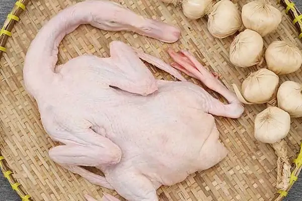 Chọn Vịt Như Thế Nào Để Món Vịt Om Sấu Ngon Và Không Bị Hôi? Chọn Vịt Như Thế Nào Để Món Vịt Om Sấu Ngon Và Không Bị Hôi?