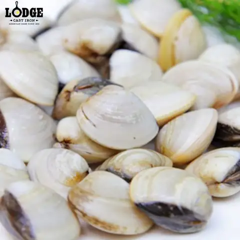 Cách chọn ngao tươi ngon