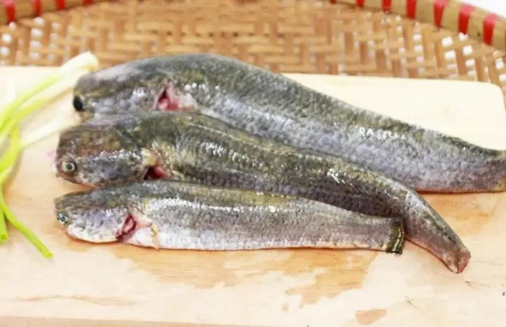 Hướng Dẫn Cách Nấu Ám Cá Sộp Đậm Đà, Dễ Làm Tại Nhà