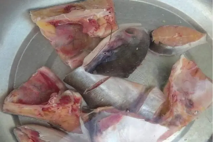 Mẹo chọn cá basa cho món canh chất lượng nhất