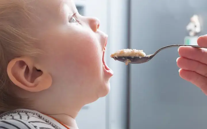 Lợi Ích Bé Nhận Được Khi Ăn Nui Là Gì?