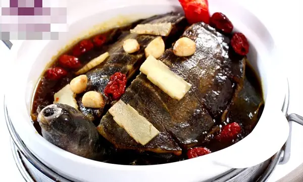 cách nấu ba ba hầm thuốc bắc