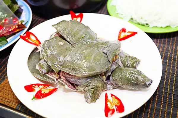 cách nấu ba ba hầm thuốc bắc