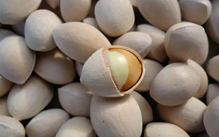 2công Dụng Của Bạch Quả