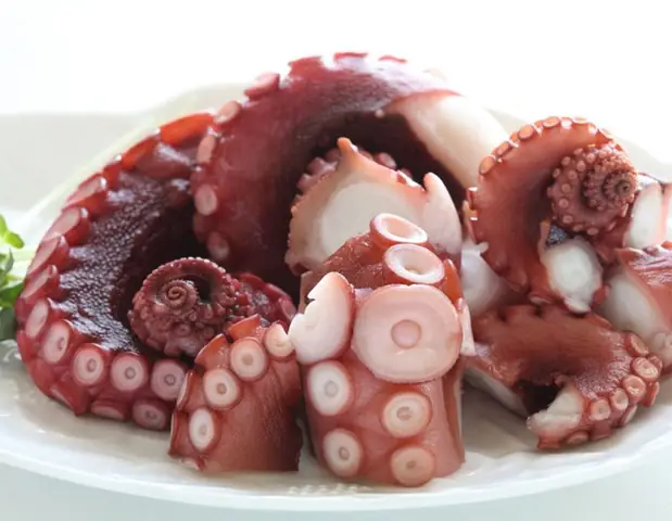 Hướng Dẫn Cách Nấu Món Bạch Tuộc Hấp Sả Vụng Mấy Cũng Làm Được