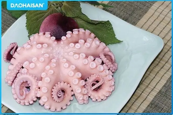 Món Bạch Tuộc Hấp Món Bạch Tuộc Hấp