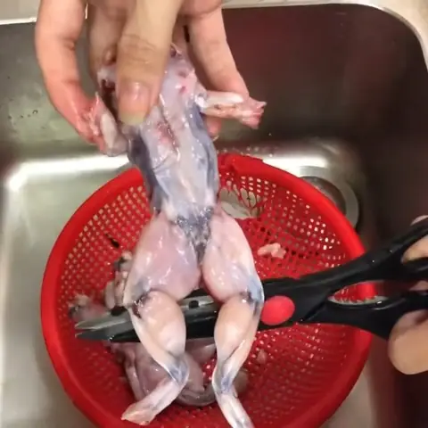 Cã¡ch Náº¥u Bã¡nh Canh Áº¿ch Má»i Láº¡ Háº¥p Dáº«n Ngon Miá»ng Dá» Lã M Táº¡i Nhã