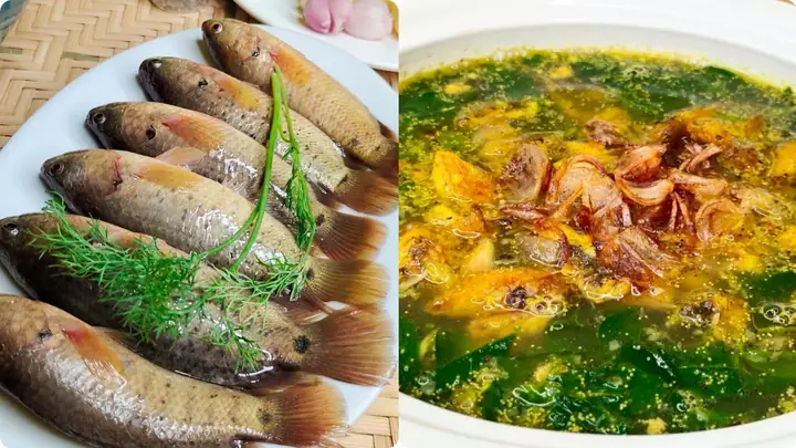 Video Đang Hot Video Đang Hot