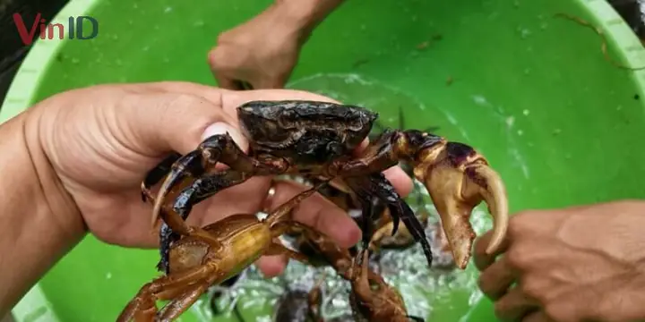 Hé Lộ Bí Quyết Cách Nấu Bánh Đa Cua Thơm Ngon Chuẩn Vị Hải Phòng