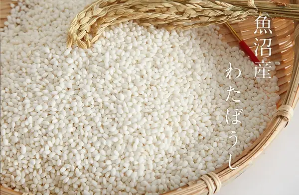 Có Gì Thú Vị Ở Bánh Gạo Mochi?